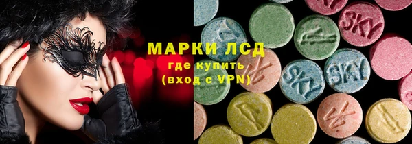 PSILOCYBIN Алзамай