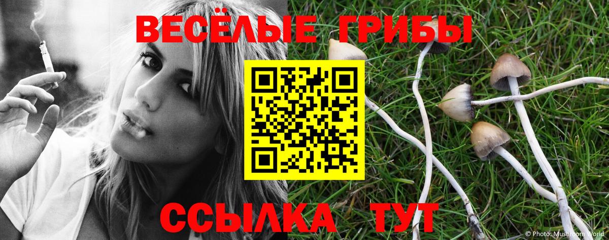 Псилоцибиновые грибы Psilocybine cubensis Выкса