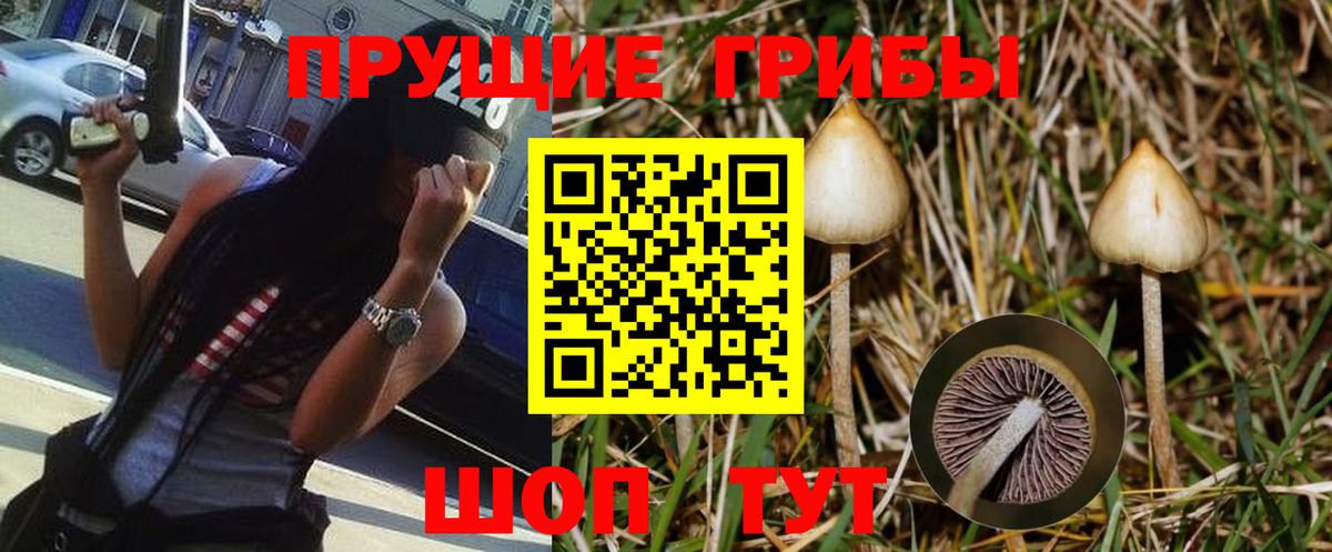 Выкса  Псилоцибиновые грибы Magic Shrooms  Псилоцибиновые грибы MAGIC MUSHROOMS  Вход с VPN 